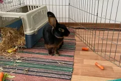 ab57bf_69768d861a6d4c54beed9f0873e4860e_mv2