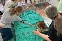 ab57bf_8055ed6a634f4de796fac809011dc685_mv2